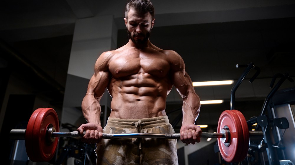 Feature | Primary Workout Routine From a Pro | V Shred Fitness